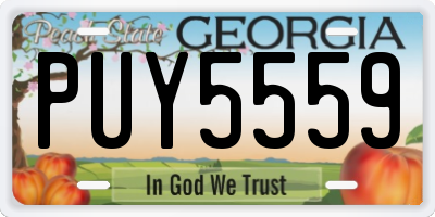 GA license plate PUY5559