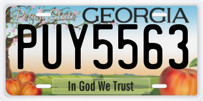 GA license plate PUY5563