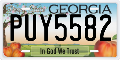 GA license plate PUY5582