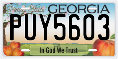 GA license plate PUY5603