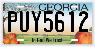 GA license plate PUY5612