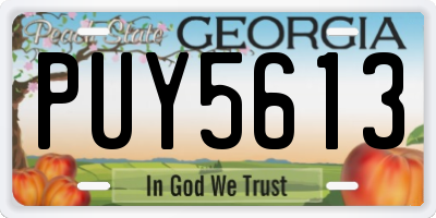 GA license plate PUY5613