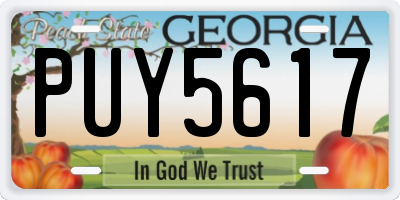 GA license plate PUY5617