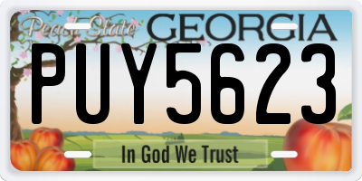 GA license plate PUY5623