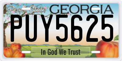 GA license plate PUY5625