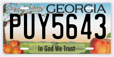 GA license plate PUY5643