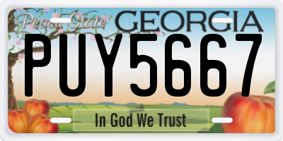 GA license plate PUY5667