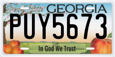 GA license plate PUY5673