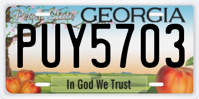 GA license plate PUY5703