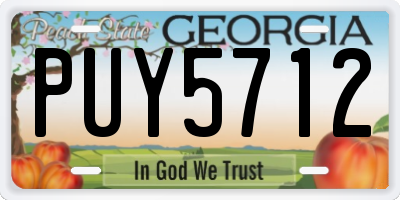 GA license plate PUY5712