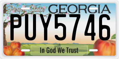 GA license plate PUY5746