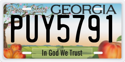 GA license plate PUY5791