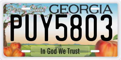 GA license plate PUY5803