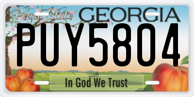 GA license plate PUY5804