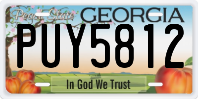GA license plate PUY5812