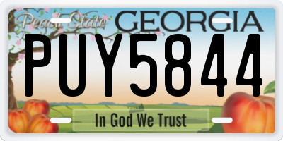 GA license plate PUY5844