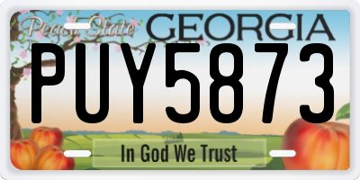 GA license plate PUY5873