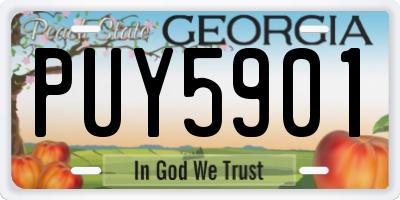 GA license plate PUY5901