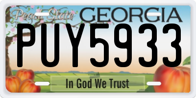 GA license plate PUY5933