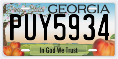 GA license plate PUY5934