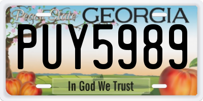 GA license plate PUY5989