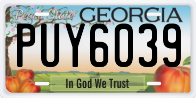 GA license plate PUY6039