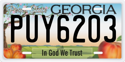 GA license plate PUY6203