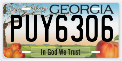 GA license plate PUY6306