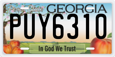 GA license plate PUY6310