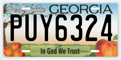 GA license plate PUY6324