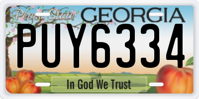 GA license plate PUY6334
