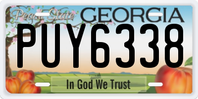 GA license plate PUY6338