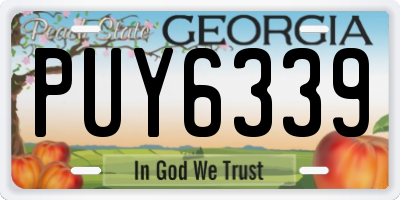 GA license plate PUY6339