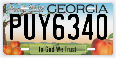 GA license plate PUY6340