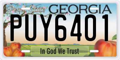 GA license plate PUY6401