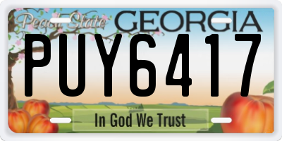 GA license plate PUY6417