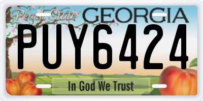 GA license plate PUY6424