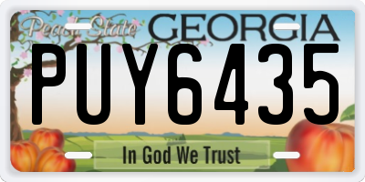 GA license plate PUY6435