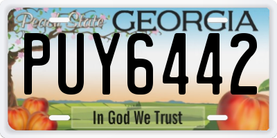 GA license plate PUY6442