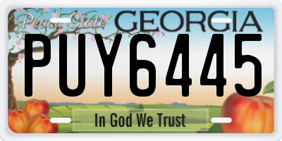 GA license plate PUY6445