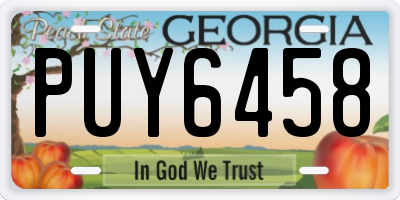 GA license plate PUY6458