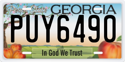 GA license plate PUY6490
