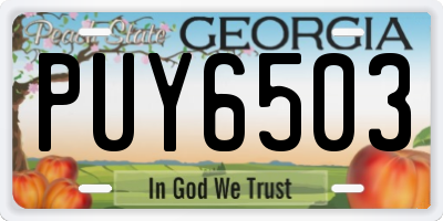 GA license plate PUY6503