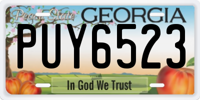 GA license plate PUY6523