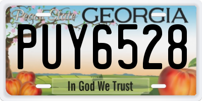 GA license plate PUY6528