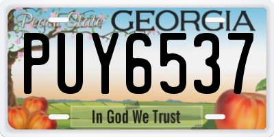 GA license plate PUY6537