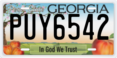 GA license plate PUY6542