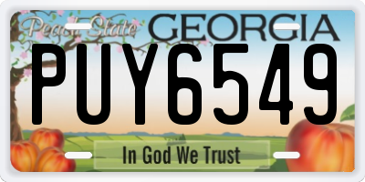 GA license plate PUY6549