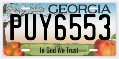 GA license plate PUY6553