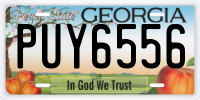 GA license plate PUY6556